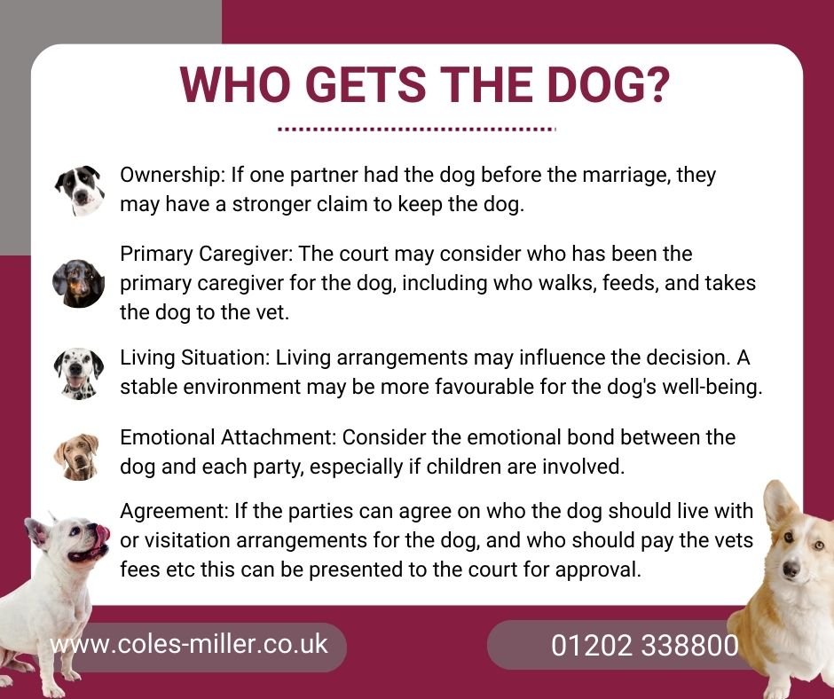 ColesMillerLLP's tweet image. In a divorce settlement, who gets the dog?

Consulting with a solicitor who specialises in family law can provide guidance tailored to your specific situation.

Book an appointment with one our Family Law Specialists: coles-miller.co.uk/your-services/…

#dorset #solicitors #divorce #pets
