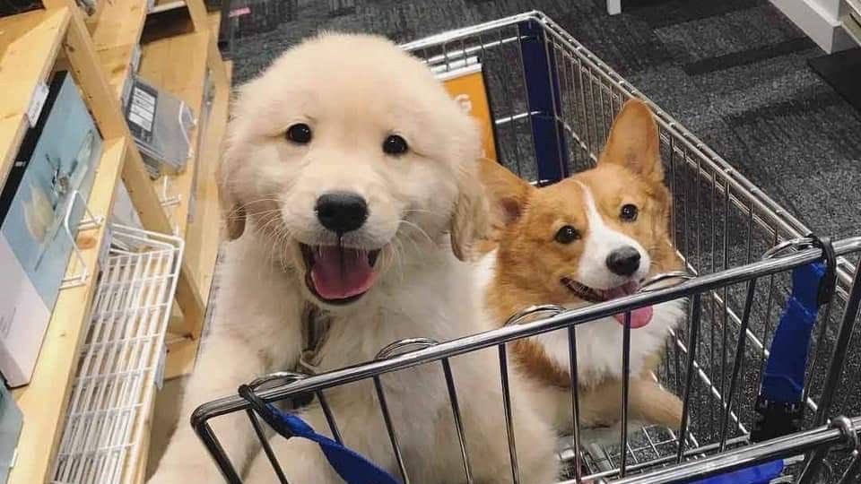 kai ❀ dwy tweet media