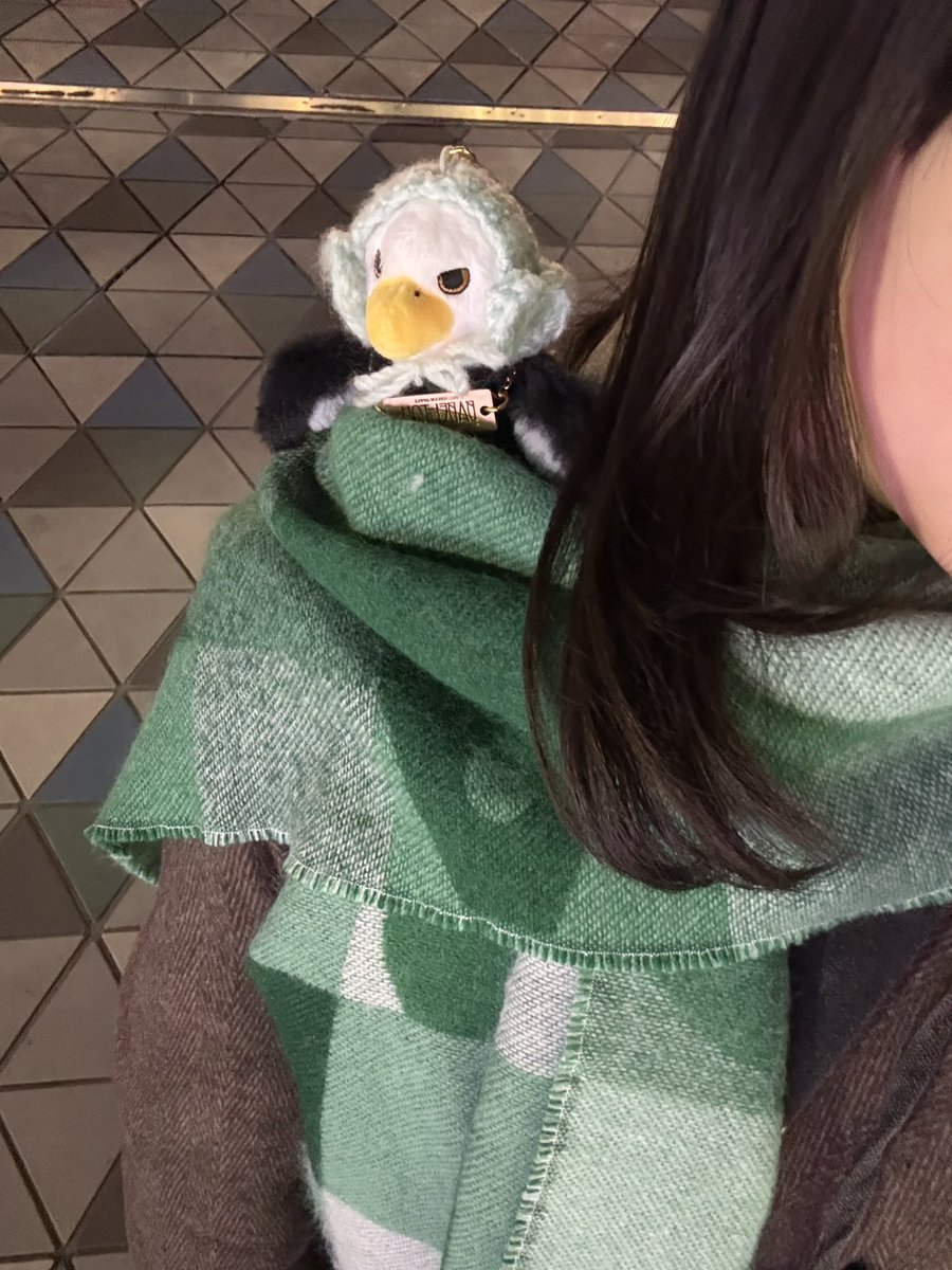 yu7_p1's tweet photo. 🏷️💚
Mrs. GREEN APPLE

ゼンジンを機に沢山のJAM’Sの方とお話したいです…👼🏻✨️
ランダムグッズ交換大歓迎です🥹
ぜひ仲良くしてください🚀

 #MrsGREENAPPLE
 #ゼンジン未到とイミュータブル 
 #ミセス好きな人と繋がりたい https://t.co/k0Jmnz4k2V