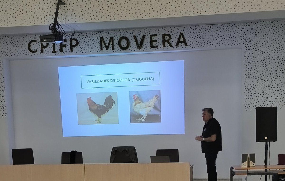 CPIFP_Movera's tweet photo. El pasado 9 de abril,  celebramos las sesiones de divulgación sobre la #GallinadelSobrarbe y la #GallinaSerranadeTeruel, 🐓🐓 dos razas autóctonas que son el corazón de nuestro nuevo proyecto de innovación educativa 💡. https://t.co/jg5iodMTK5