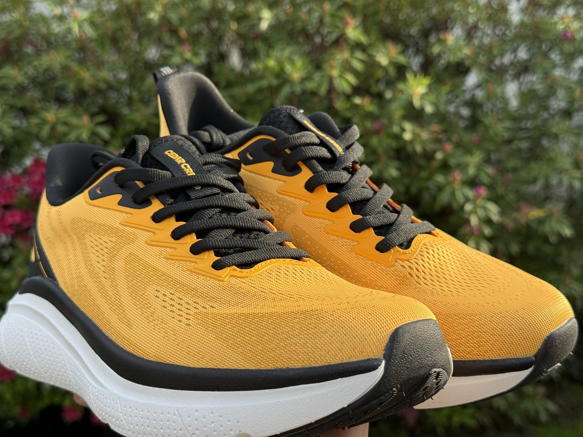 日曜日なんだけど、履き心地が良くてお気に入りの靴のシリーズにめっちゃ好みの色とデザインのがあって衝動買いしてお外で写真パシャパシャした