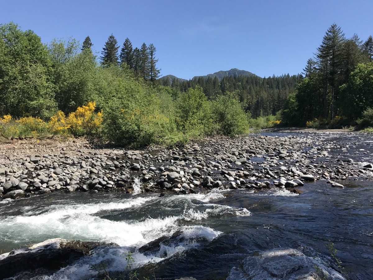 indietrucker tweet media