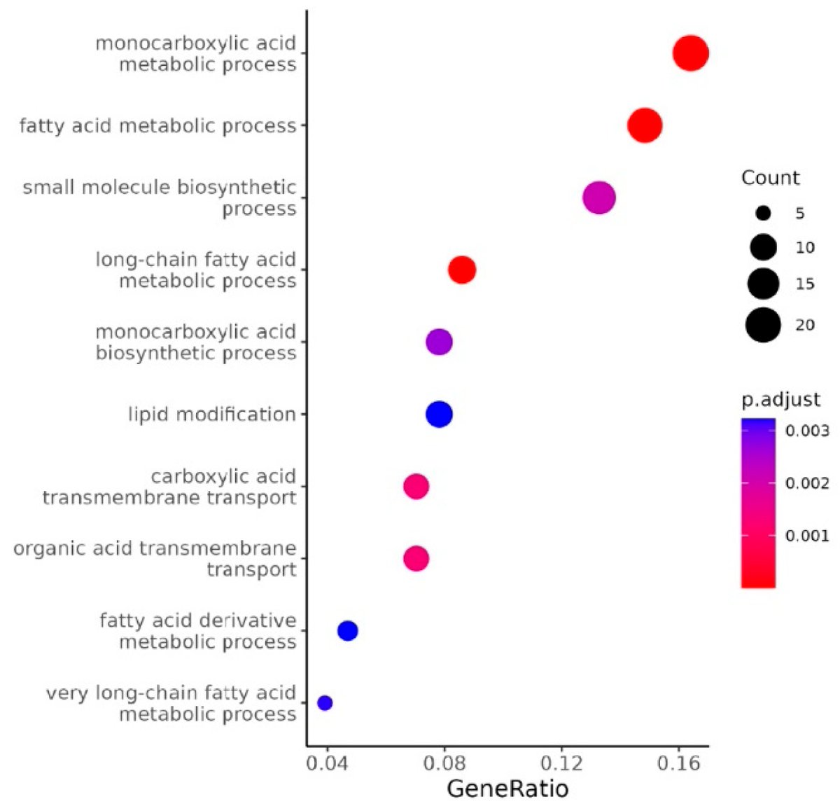 Non-Coding RNA tweet media