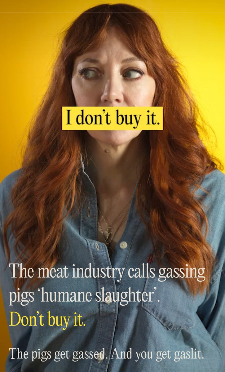 birchlse's tweet photo. I'm very impressed by Diane Morgan and those few celebs who will put their heads above the parapet to oppose factory farming. I suspect every celeb has an agent saying "just stay out of it" and it takes integrity to listen to the voice of conscience over the voice of the agent. https://t.co/2nh53P8vBa