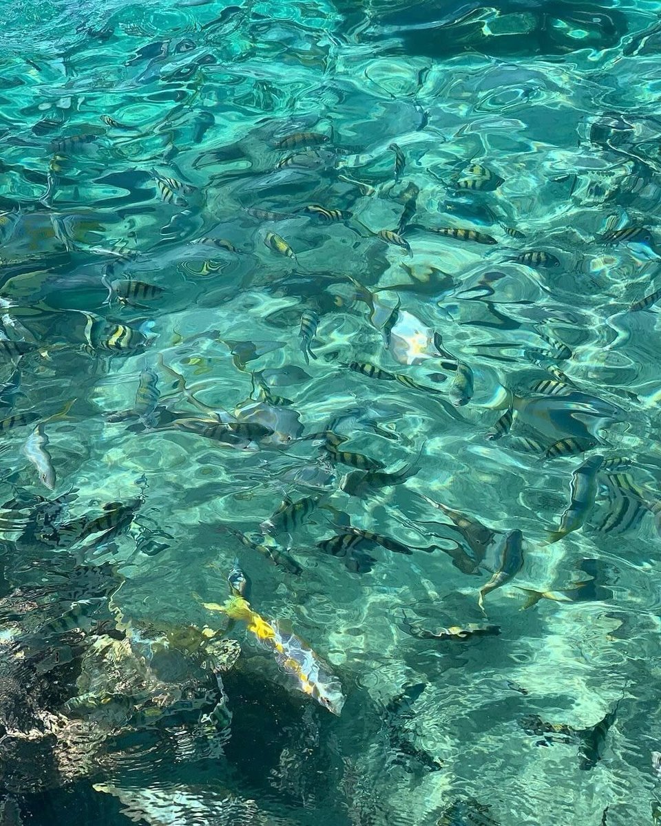 𝑎𝑒𝑠𝑡ℎ𝑒𝑡𝑖𝑐 𝑎𝑟𝑡 tweet media