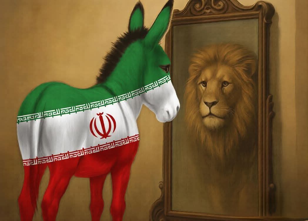 القرني tweet media