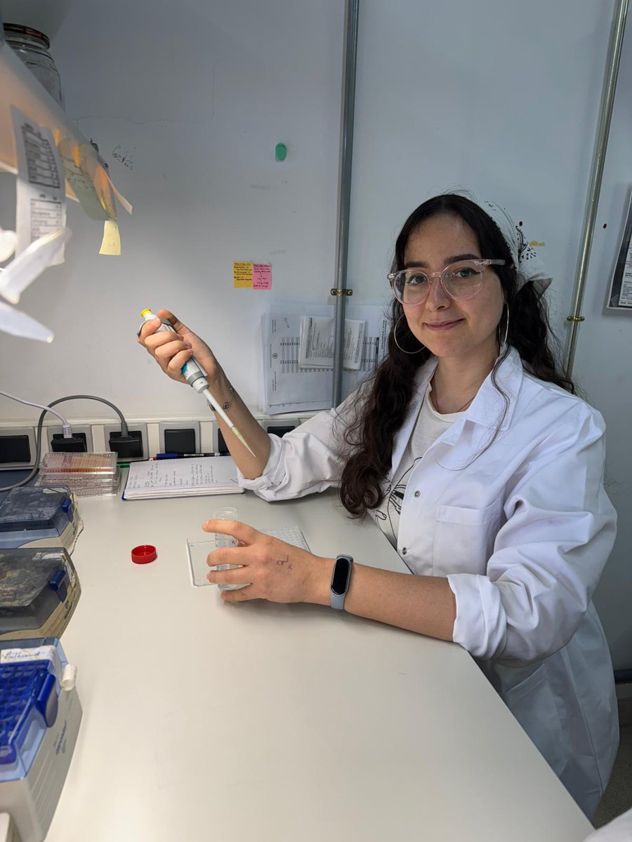 Systems Biotechnology Group tweet media