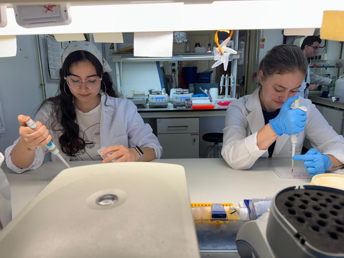 Systems Biotechnology Group tweet media