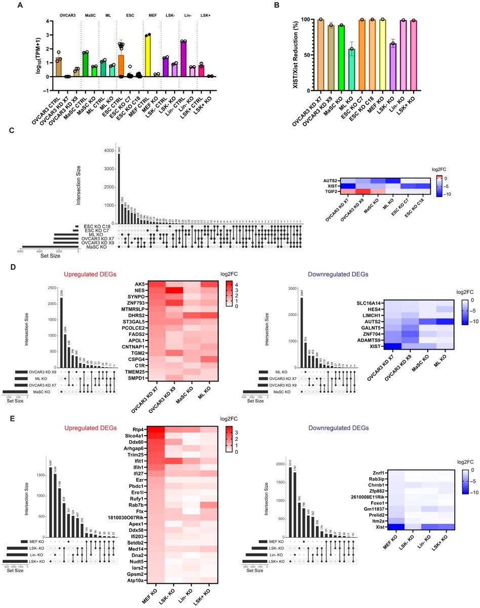 Non-Coding RNA tweet media