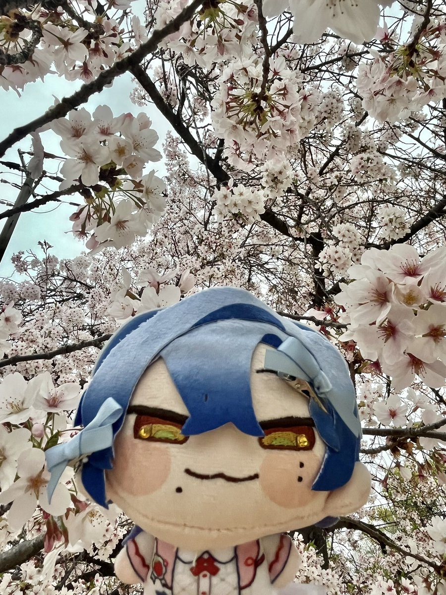 ゆう tweet media