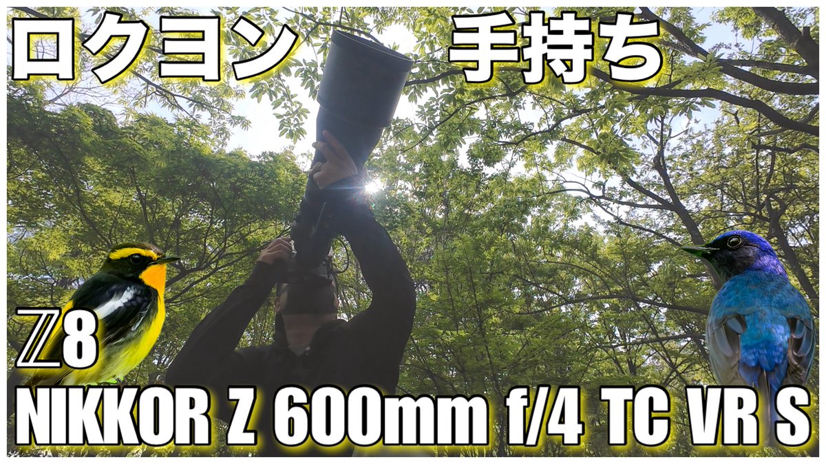 R/あーる tweet media