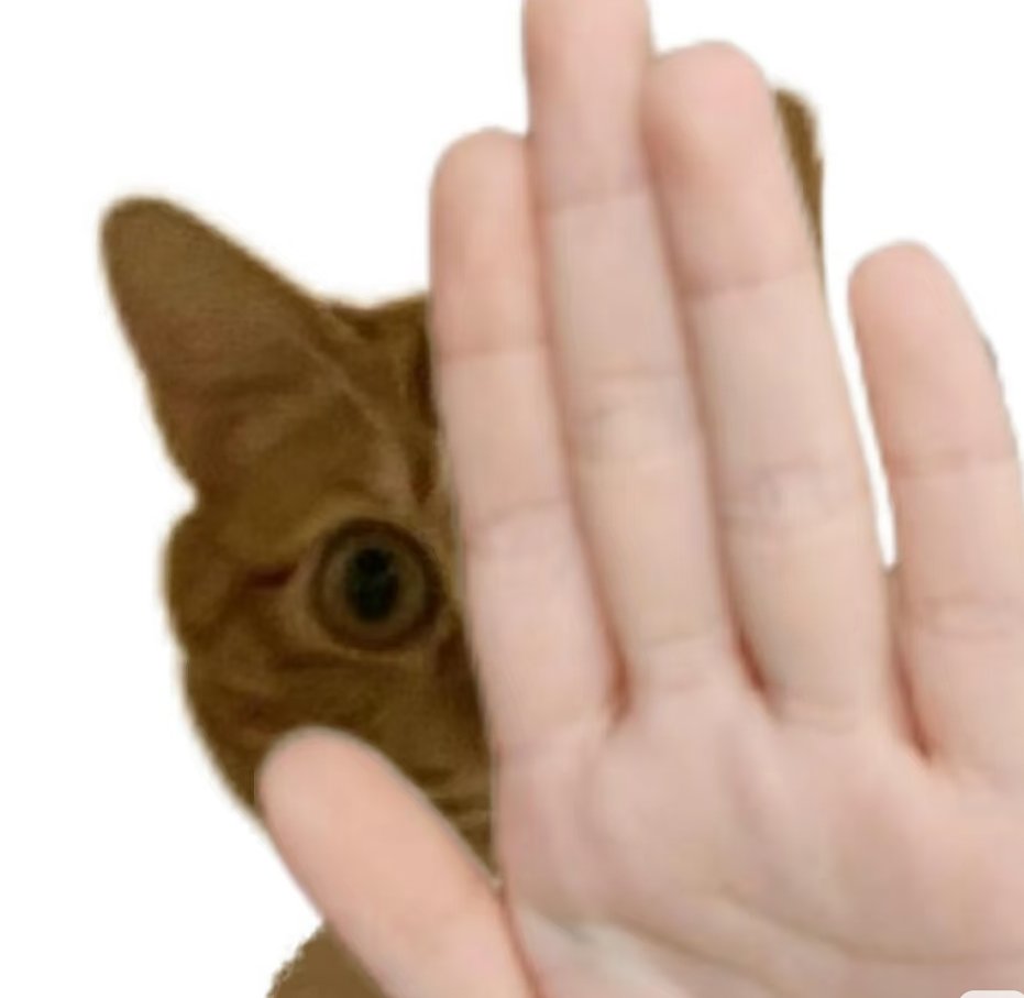 😫异性恋夫妻不要私信我啊，我起这个id是磕女同哒，我也不想加入别人的感情！真心觉得能把感情经营好的拉拉们超棒！！！