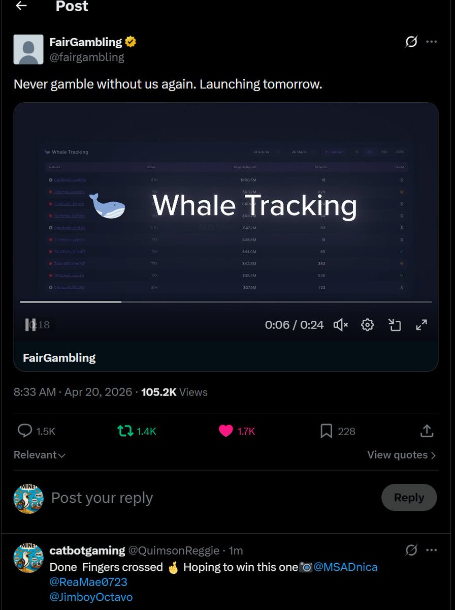 catbotgaming tweet media