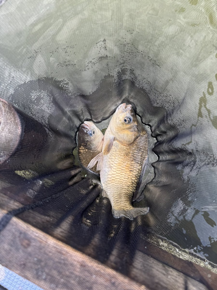 Asuka。釣り初心者🎣🐈🐾 tweet media