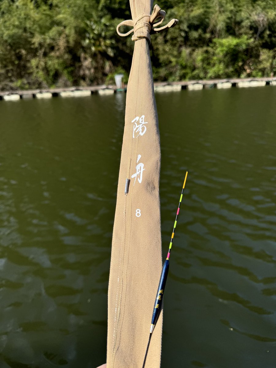 Asuka。釣り初心者🎣🐈🐾 tweet media