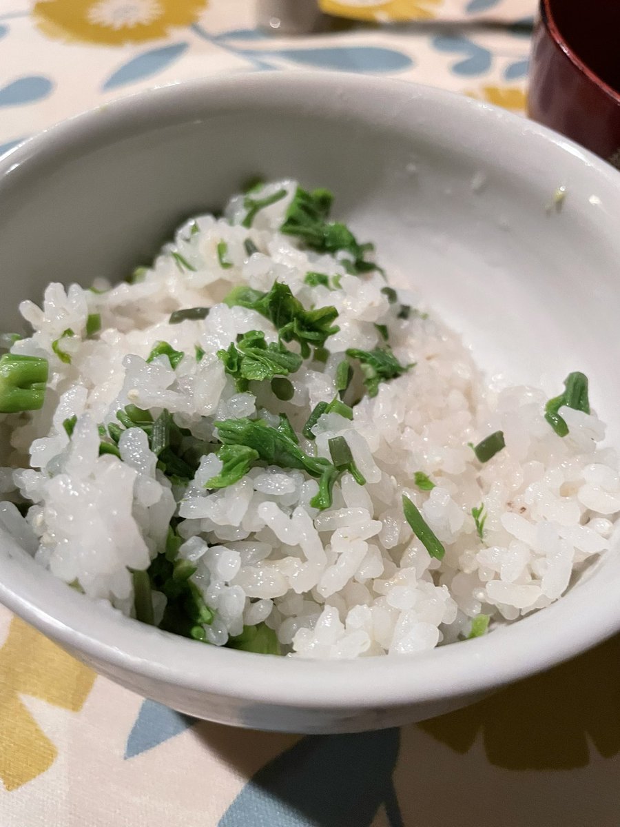 🐶こむぎ🐶 tweet media