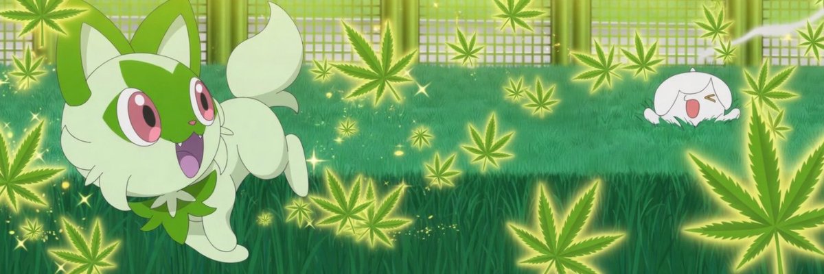 devtoshi tweet media