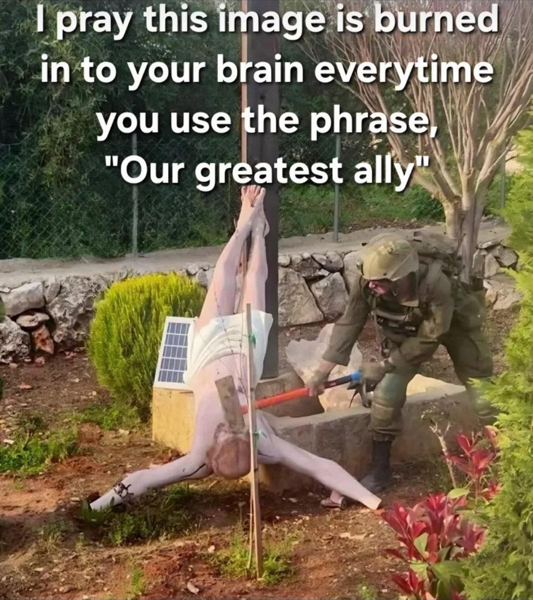 nycfranckly tweet media