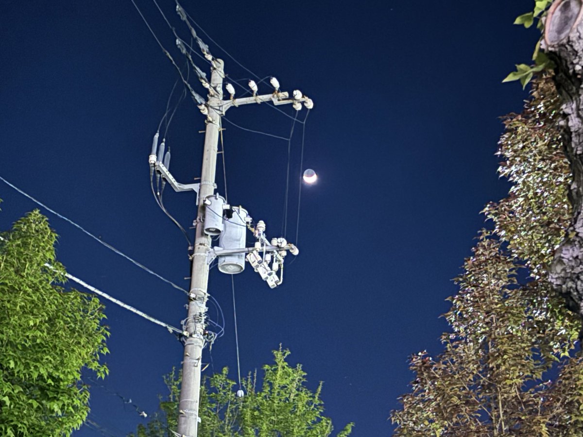 けん。 tweet media