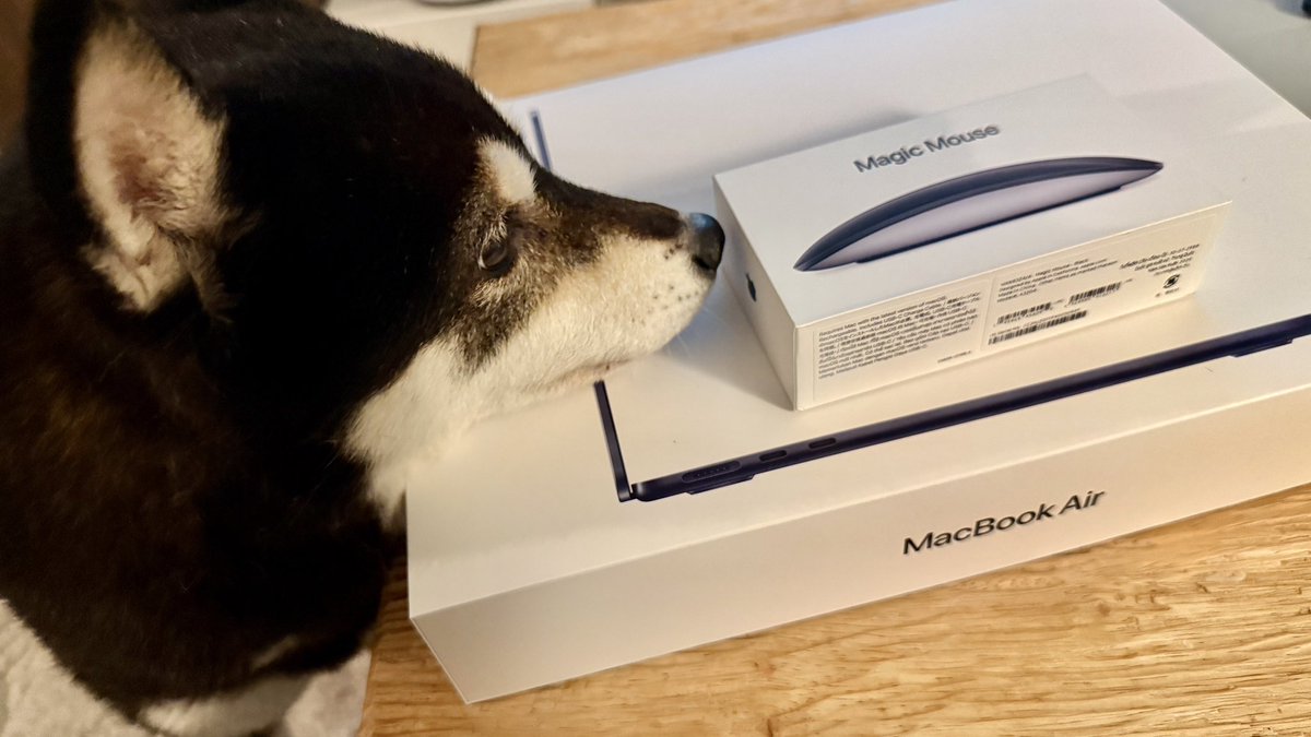 むちむち tweet media