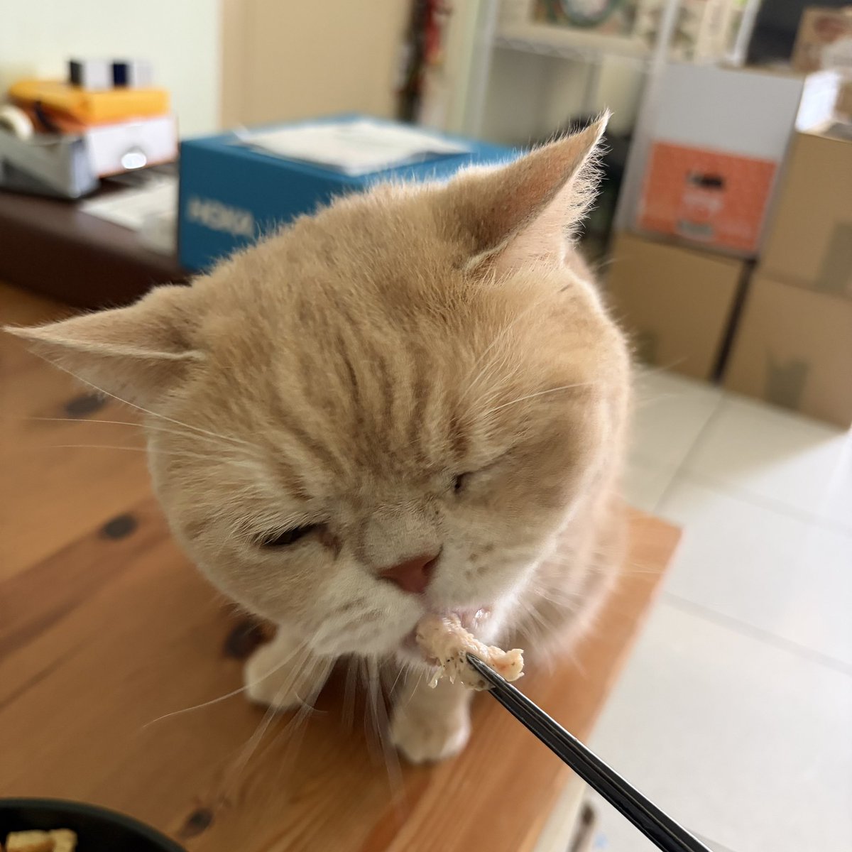 sAndra Shen tweet media