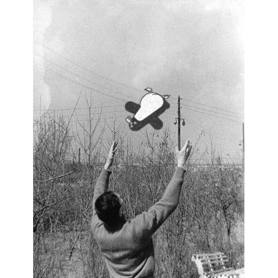 Stukuls's tweet image. Hip Hip Hooray! It’s Monday!

#monday #penguin #work #coworker #hooray