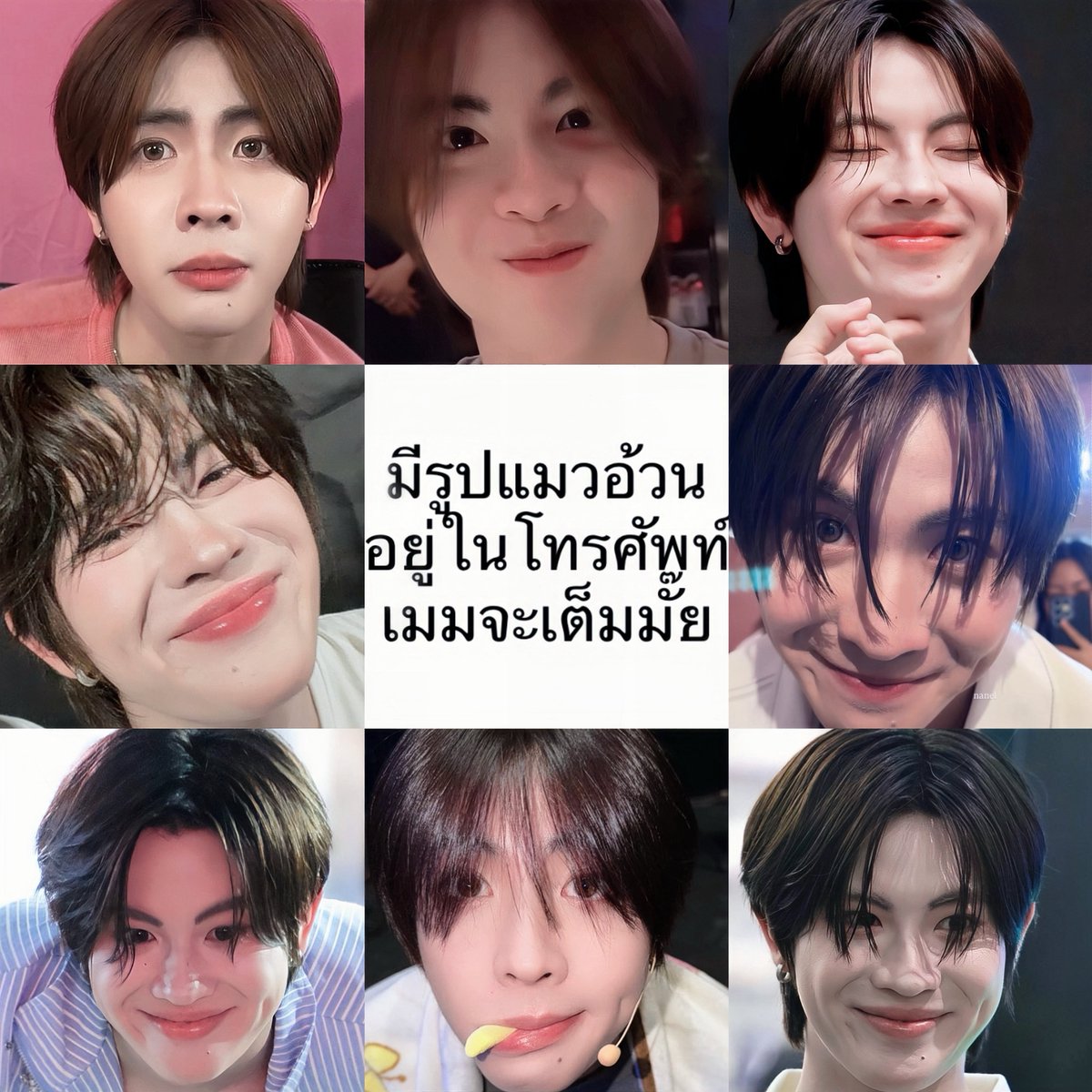 พัชชา𐙚 tweet media