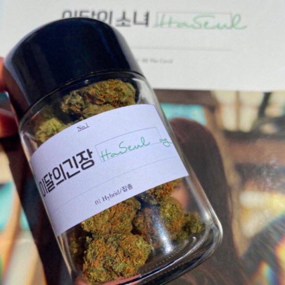 Maxoerry Loona4Eva 🍒 tweet media