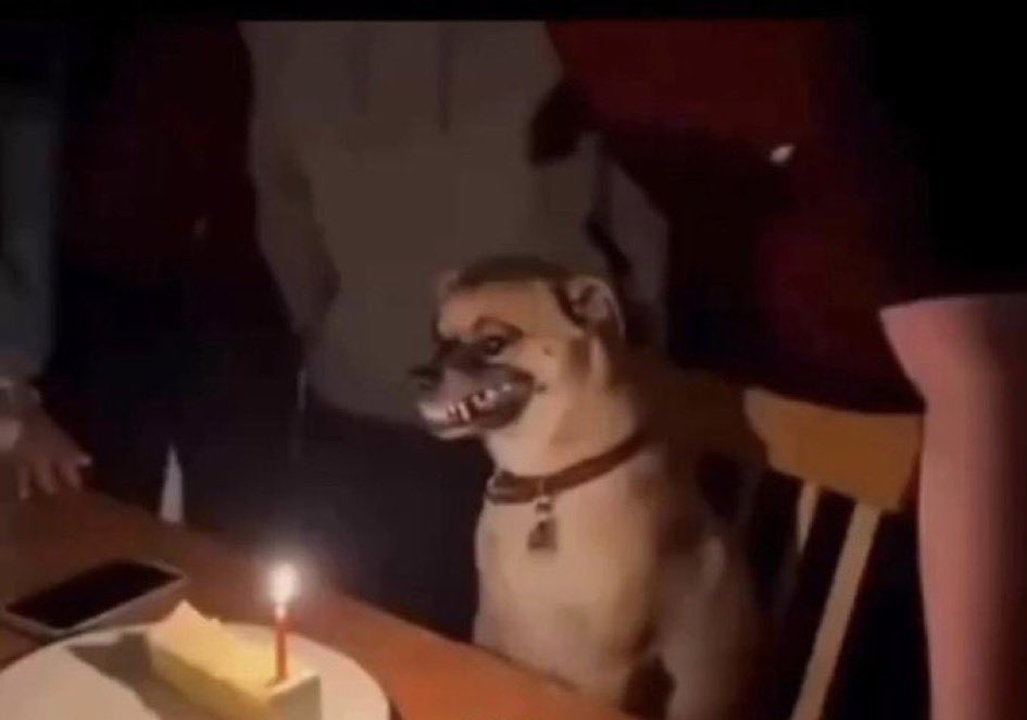 Gidi🍃 tweet media