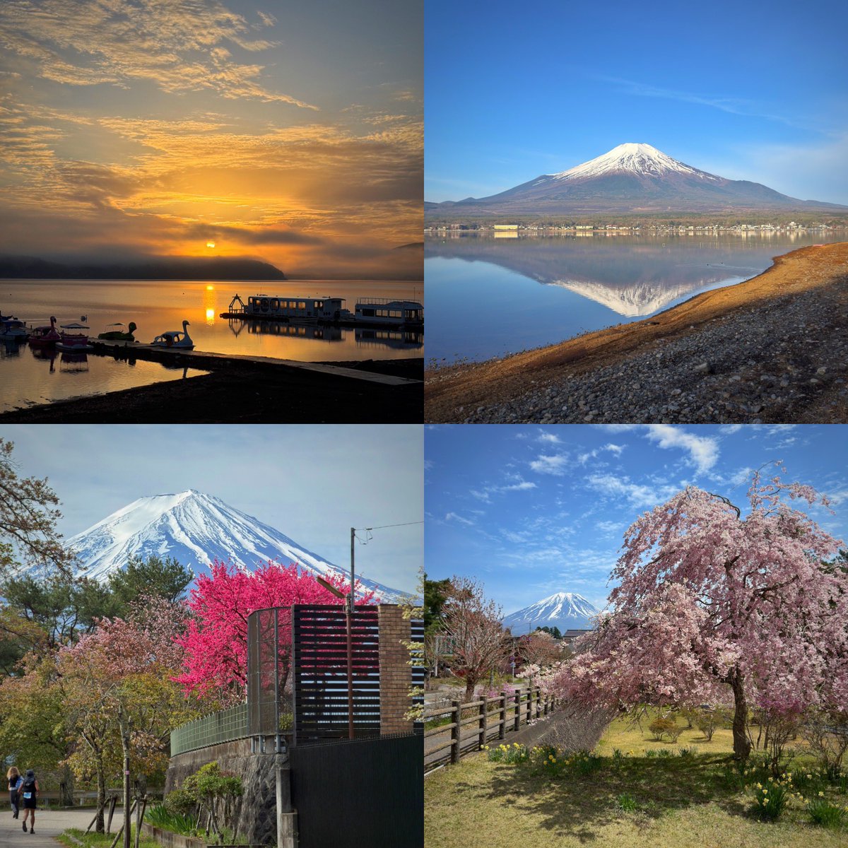 ワダッシュ@5/17 野辺山100、12/6 湘南 tweet media