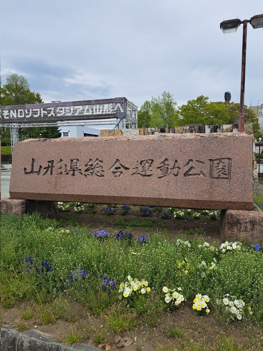 花火 tweet media