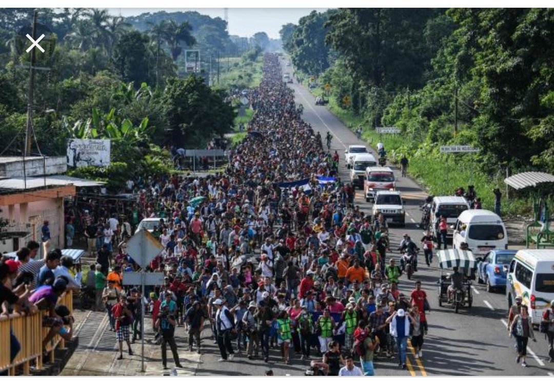 You cant fake life!! kipo.382!!🇺🇸 tweet media