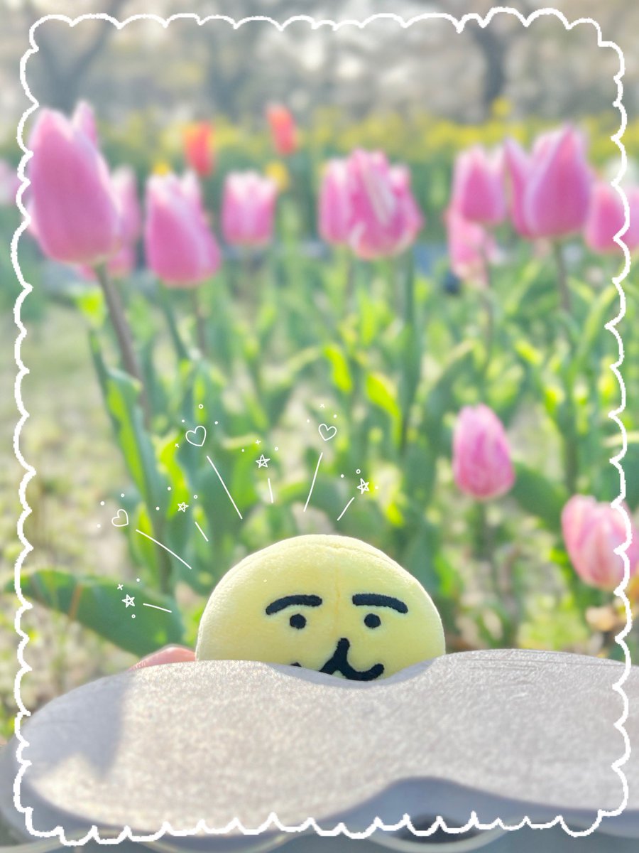 けーる🥬 tweet media