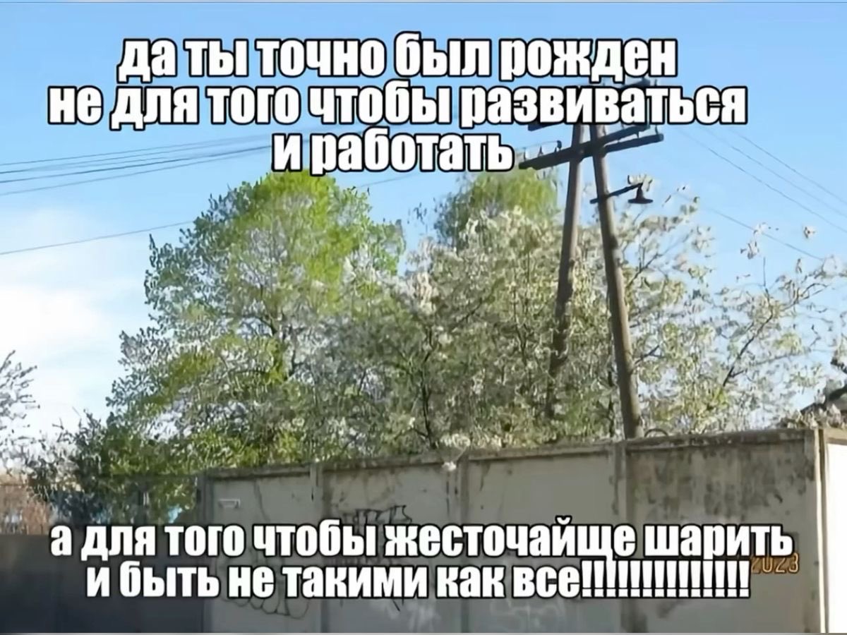 гемі🎐 (@gemi_softy) on Twitter photo 