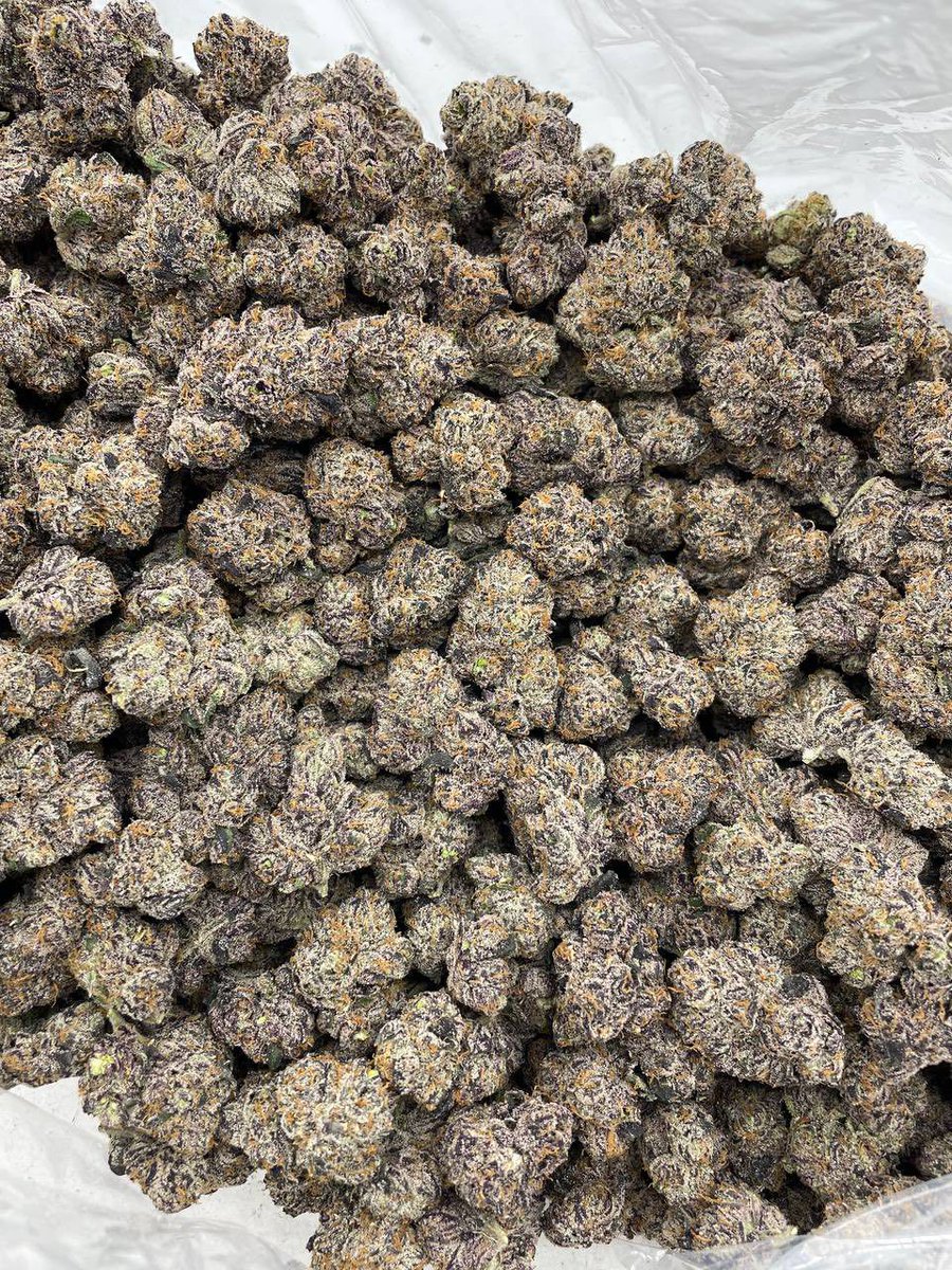 hoodchemistchat's tweet image. Premium smoke 🍬 
Pennsylvania . Philadelphia .
Ohio . Columbus . Cleveland
Michigan . Detroit . Grand Rapids
North Carolina . Charlotte . Tennessee . Nashville . Memphis
Louisiana . New Orleans . Baton 
Virginia . Richmond Missouri . 
#weed  #cannabis #marijuana
