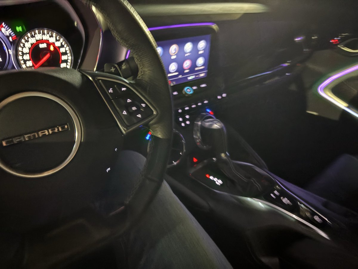 殿様バッタ🚥🦗 tweet media