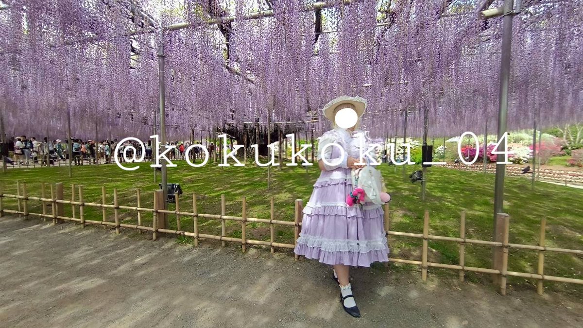 こく。 tweet media