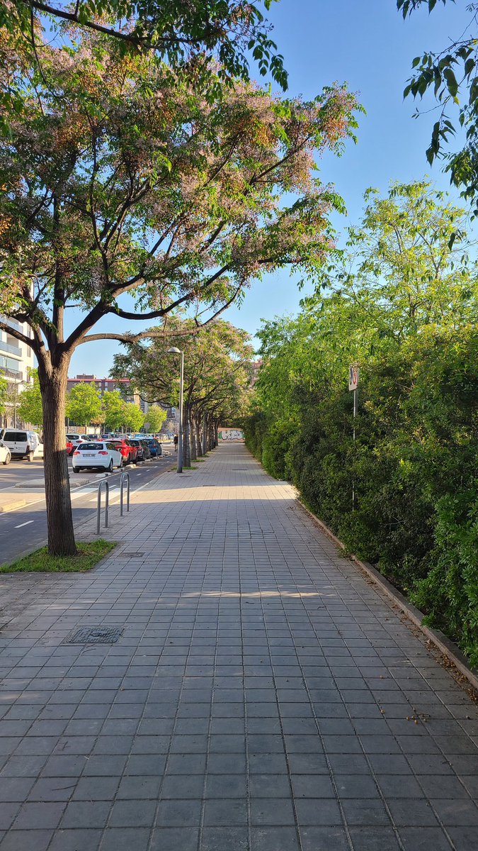Tercer día de gimnasio!

Ayer probé la piscina y menudo cuadro. Con agujetas por todos lados y darte cuenta de que vas por la calle rápida al tercer largo cuando te han adelantado 5 veces. Always clown, never unclown jajajaja