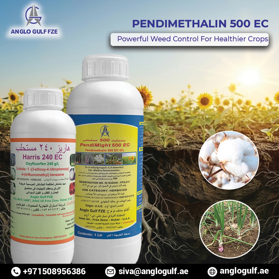 anglogulffze's tweet image. Take control of weeds and give your crops the space to thrive with PENDIMETHALIN 500 EC 🌻🌱#Pendimethalin500EC #WeedControl #Herbicide #AngloGulfFZE #CropProtection #HealthyCrops #HighYieldFarming #SmartFarming #AgriSolutions #ModernAgriculture #AgriTech #SustainableFarming