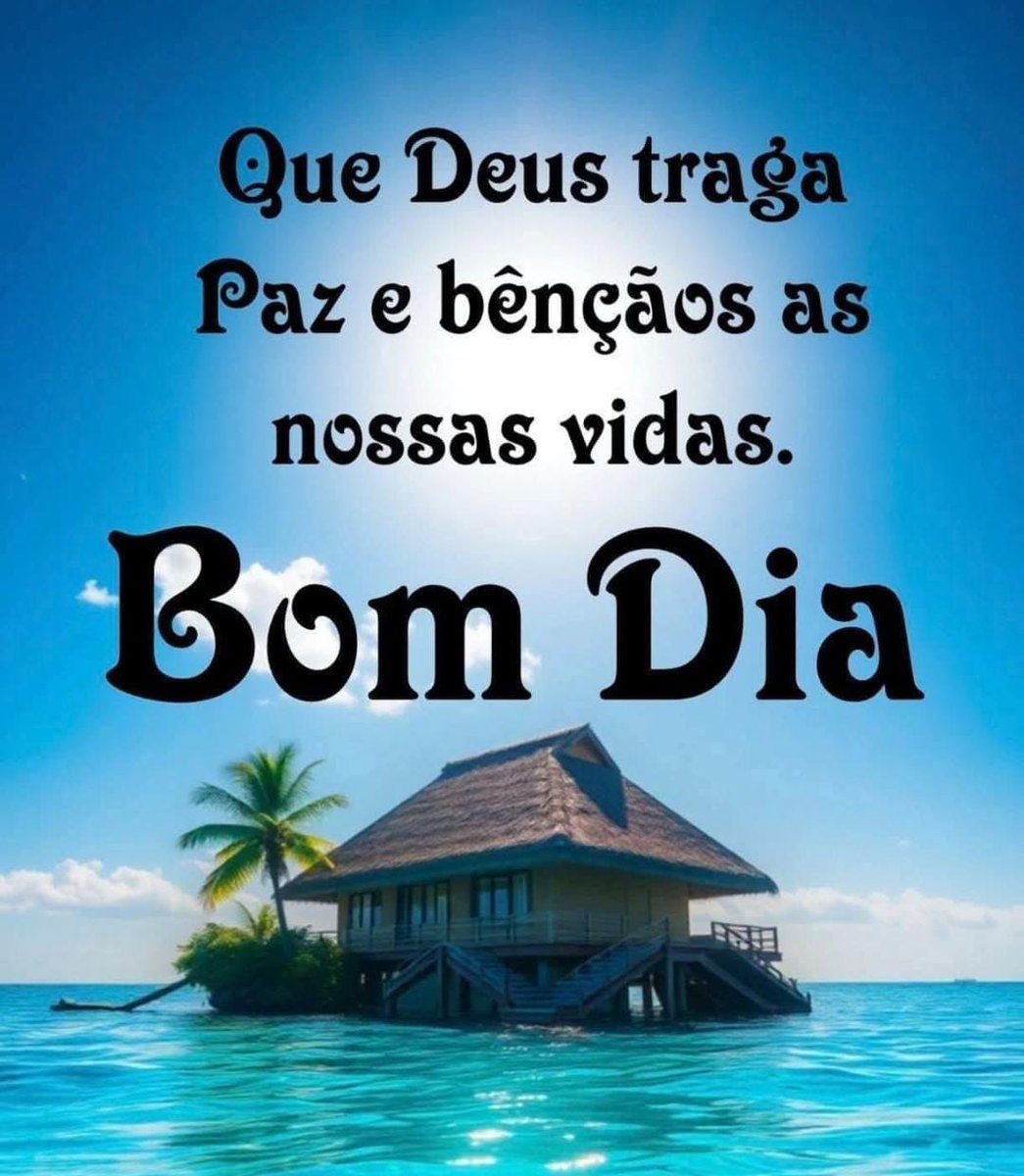 Dimas Gonçalves tweet media