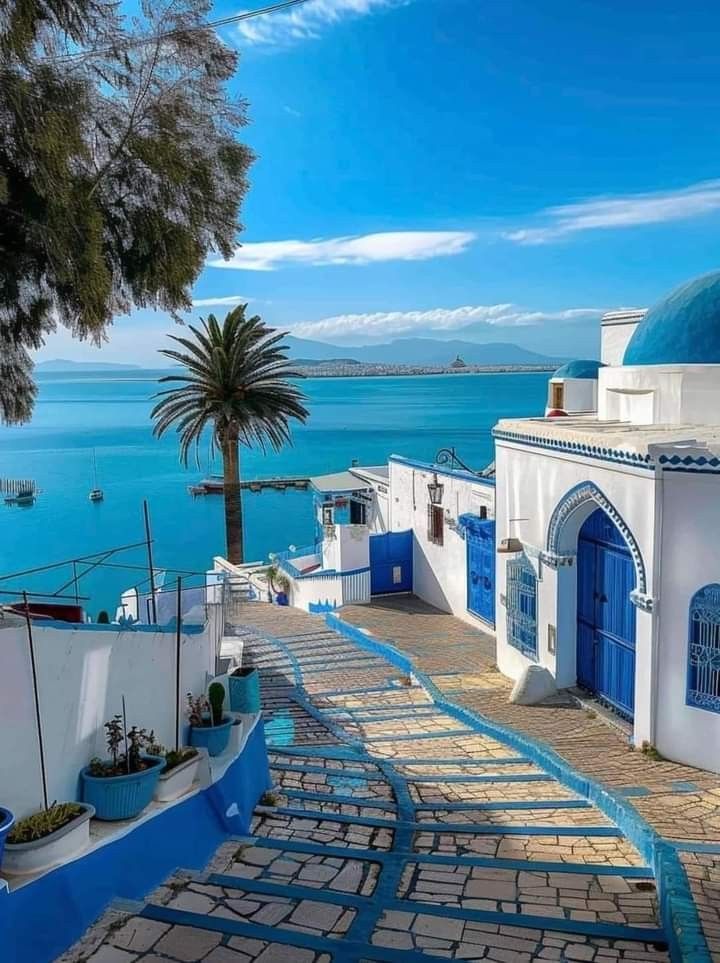 WanderAura 🌍 tweet media