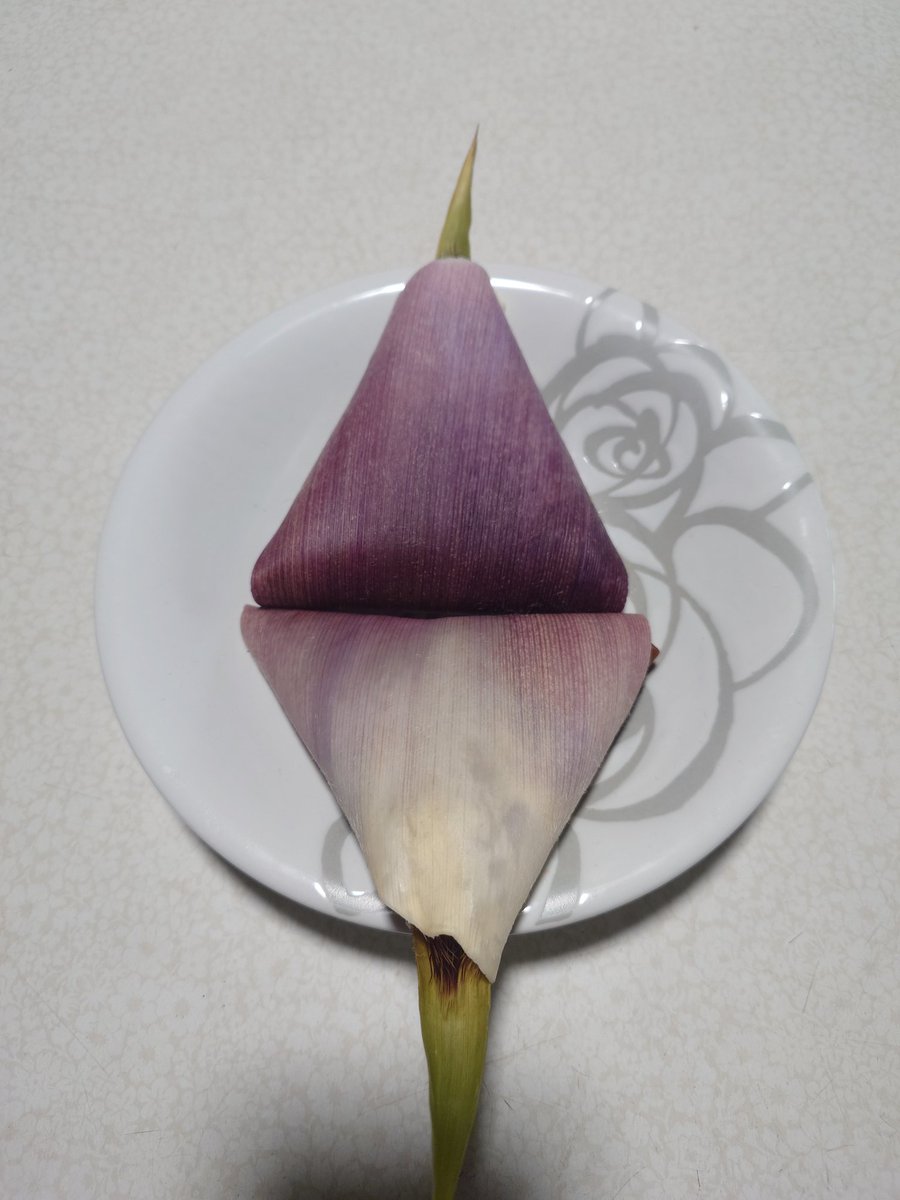 スミス︎🤍💫🎖 tweet media