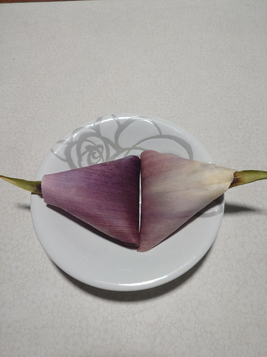 スミス︎🤍💫🎖 tweet media