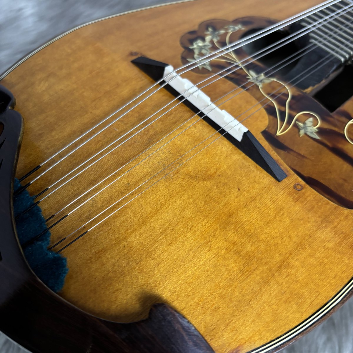 shima_kinshicho's tweet image. 🌟中古マンドリン入荷情報🌟
イタリアの王道 #Calace の人気モデルNo.13の1974年製の個体が入荷しました✨
良い塩梅に経年変化した見事な雰囲気の個体です👍
ワンランク上のマンドリンをお探しの皆様にオススメしたい個体です🥰

詳細はこちら👇
store.shimamura.co.jp/ec/pro/disp/1/…
#島村楽器 #錦糸町 #中古