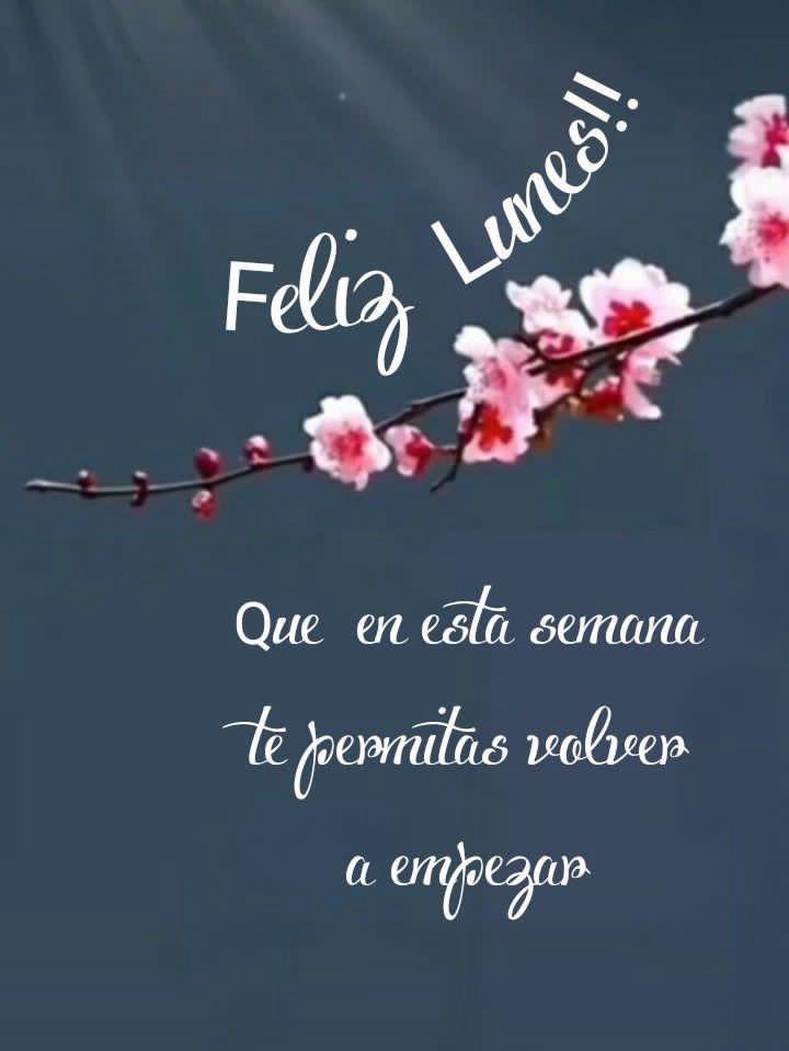 Tato04 (@jorgeproano81) on Twitter photo 