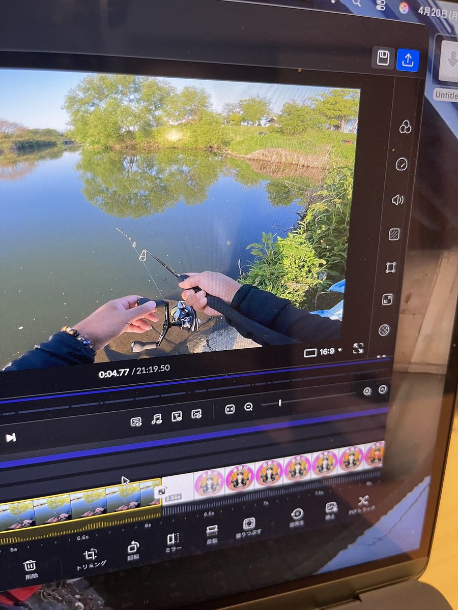 モツ達♪ tweet media