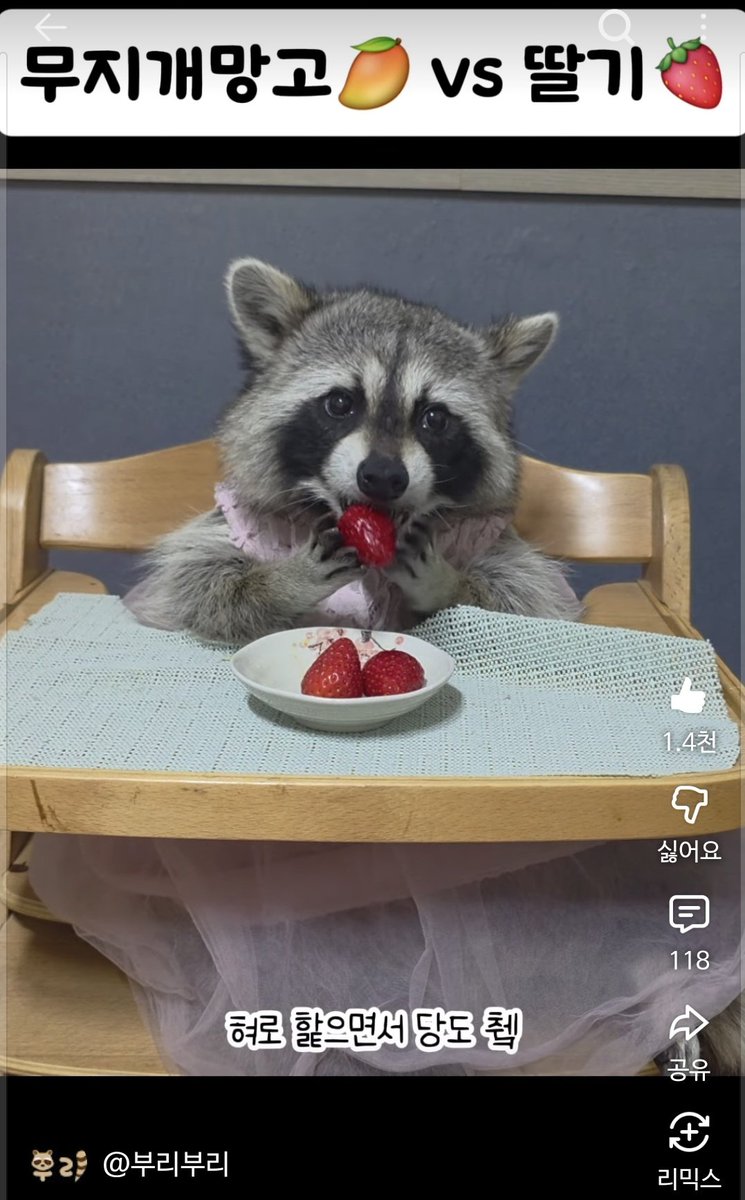 gomdolgue tweet media