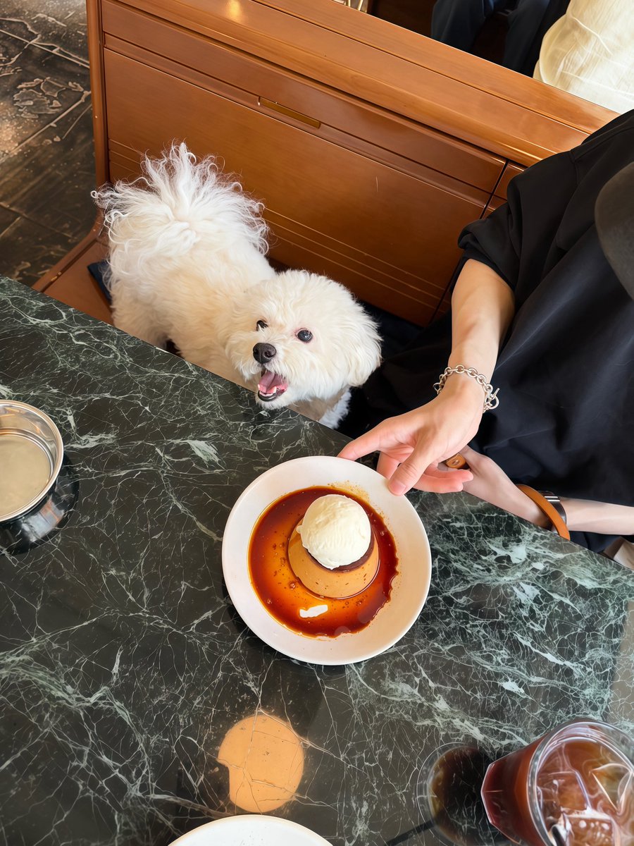 かわいすぎるか