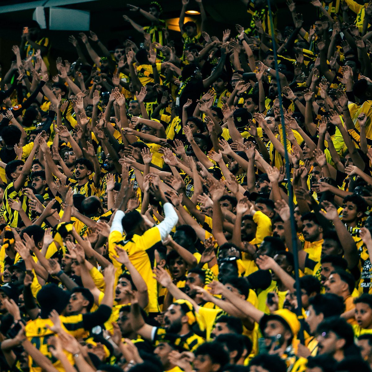 محمد العيسي tweet media