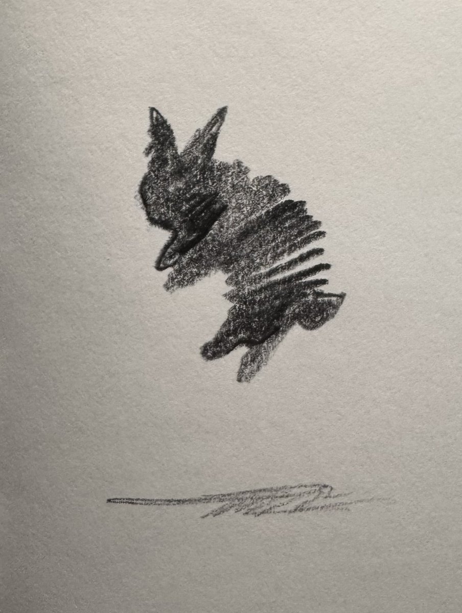 balo🍣 tweet media